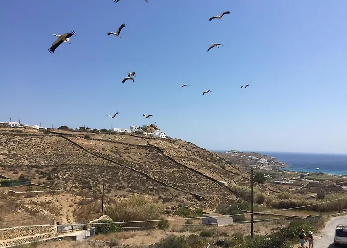 A&a House Mykonos A Апартаменты *